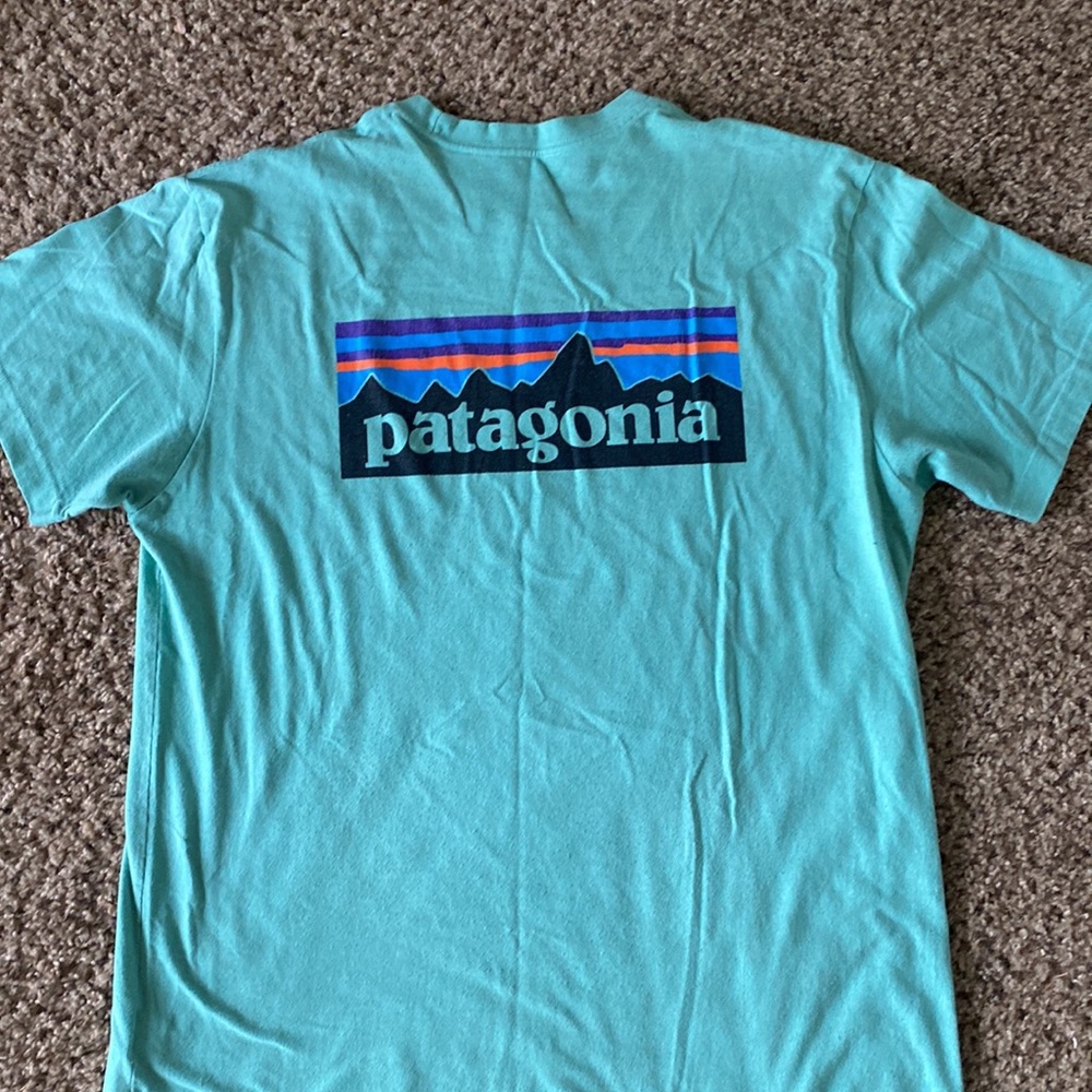 Men’s Patagonia T-shirt
